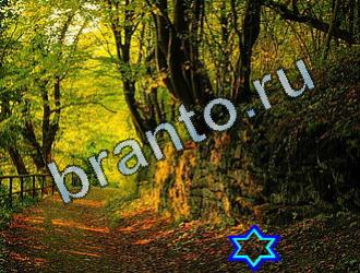 подсказки на игру Найди животных Уровень 2047