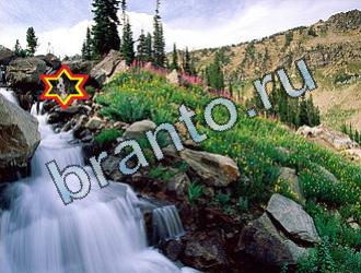 ответы на игру Найди животных одноклассники Уровень 2048