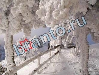 ответы на игру Найди животных в контакте Уровень 2050