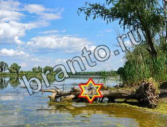 ответы на игру Найди животных Уровень 2052