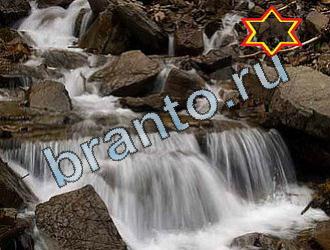 подсказки к игре Найди животных Уровень 2053