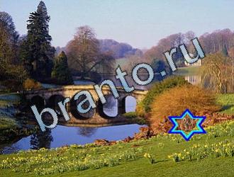 ответы на игру Найди животных Уровень 2054