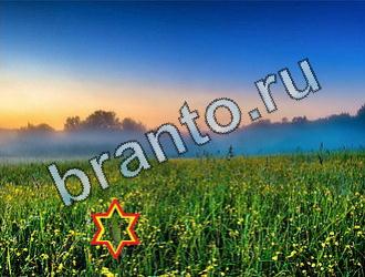 ответы на игру Найди животных Уровень 2056