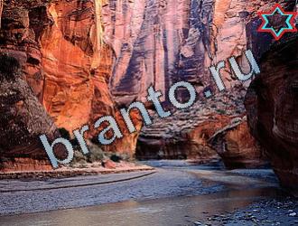 ответы на игру Найди животных Уровень 2057