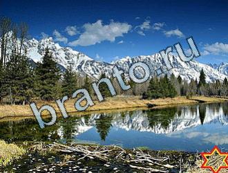 Игра Найди животных ответы Уровень 2060