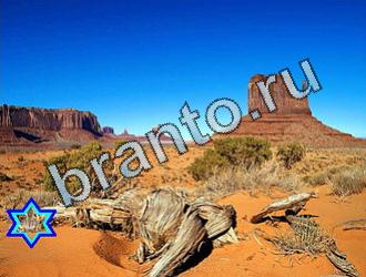 ответы на игру Найди животных Уровень 2061