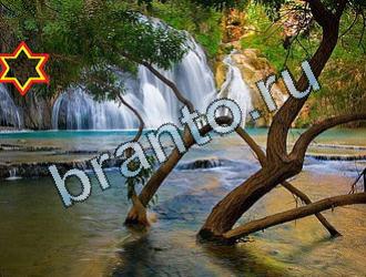 ответы на игру Найди животных Уровень 2062