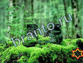 ответы на игру Найди животных Уровень 2065