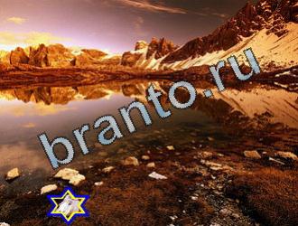 ответы на игру Найди животных Уровень 2066