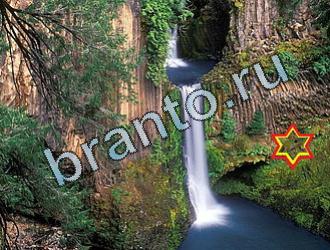 ответы на игру Найди животных Уровень 2068