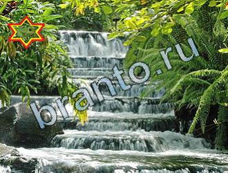 ответы на игру Найди животных Уровень 2070