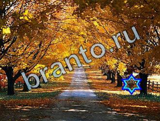 ответы на игру Найди животных Уровень 2073