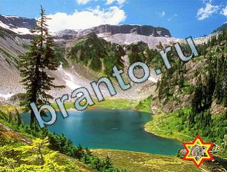 ответы на игру Найди животных Уровень 2074