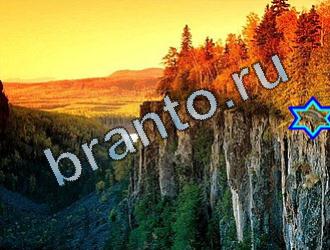 ответы на игру Найди животных Уровень 2075