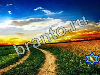 подсказки к игре Найди животных Уровень 2078