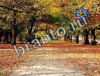 ответы на игру Найди животных Уровень 2079