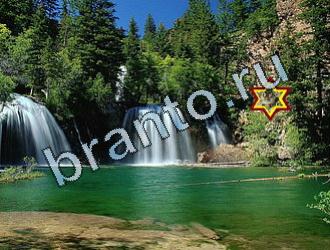 ответы на игру Найди животных Уровень 2080