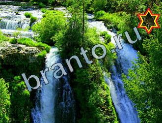 ответы на игру Найди животных Уровень 2084