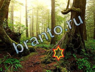 ответы на игру Найди животных Уровень 2086