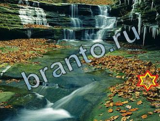 Найди животных Ответы Уровень 2089