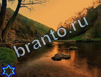 ответы на игру Найди животных Уровень 2090