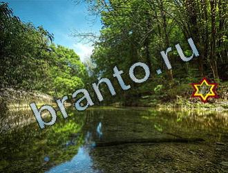 Найди животных подсказки Уровень 2091