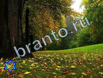 ответы на игру Найди животных Уровень 2092