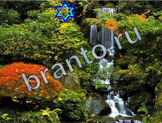 ответы на игру Найди животных Уровень 2096