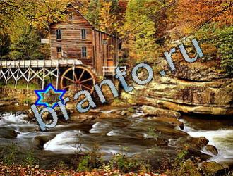 подсказки на игру Найди животных Уровень 2097