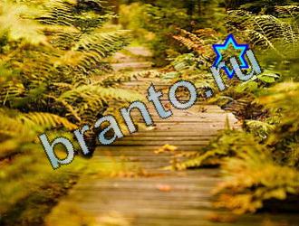 помощь на игру Найди животных Уровень 2099