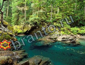 Найди животных игра ответы Уровень 2101