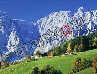 подсказки к игре Найди животных Уровень 2103