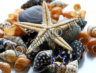 Найди животных решебник Уровень 2105