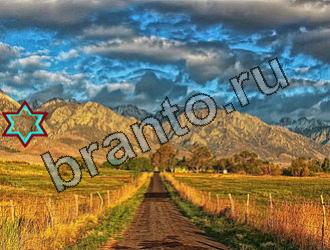 ответы на игру Найди животных Уровень 2106