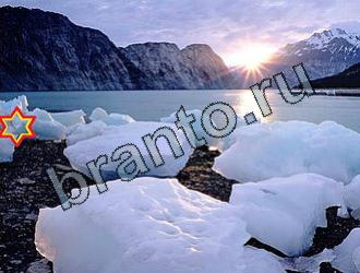 ответы на игру Найди животных Уровень 2109