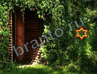 ответы на игру Найди животных Уровень 2111