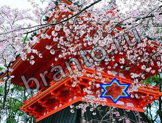 ответы на игру Найди животных Уровень 2113