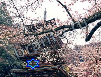 ответы на игру Найди животных Уровень 2114