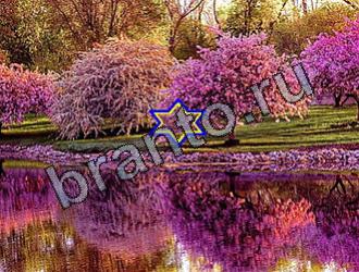 ответы на игру Найди животных Уровень 2115