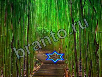 ответы на игру Найди животных Уровень 2119