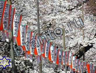 ответы на игру Найди животных Уровень 2120