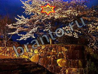 ответы на игру Найди животных Уровень 2121