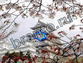 ответы на игру Найди животных Уровень 2122