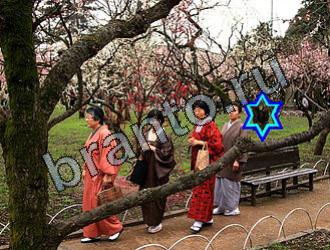 ответы на игру Найди животных Уровень 2125