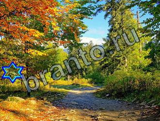 ответы к игре Найди животных Уровень 2133