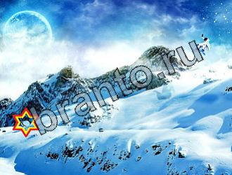 ответы на игру Найди животных Уровень 2134