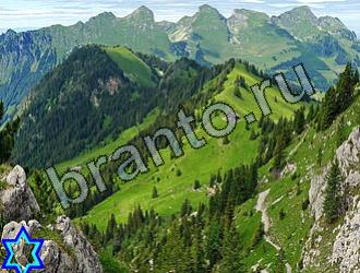 ответы на игру Найди животных Уровень 2135