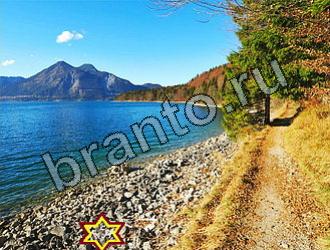 Найди животных Ответы Уровень 2139