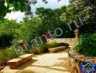 ответы на игру Найди животных Уровень 2140