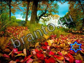 Найди животных подсказки Уровень 2141